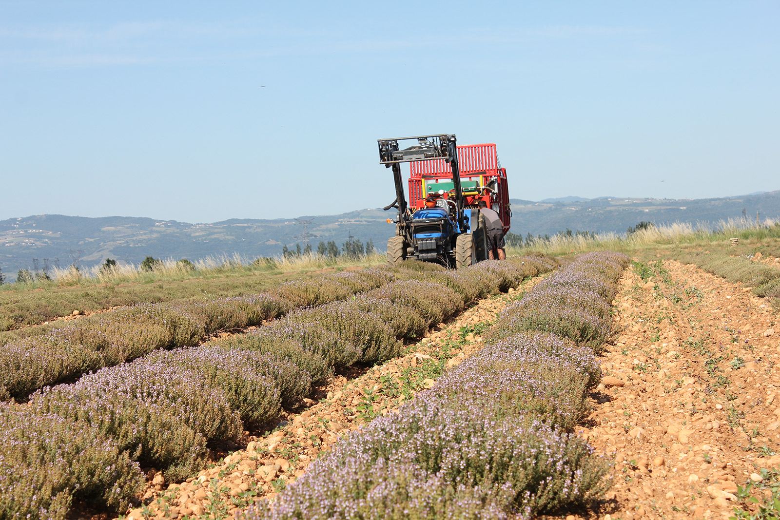 Agriculteur partenaire